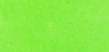 ECOLINE DUOTIP PEN - WATER BASED INK PEN - LIGHT GREEN NO. 601