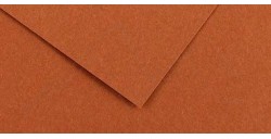 CANSON COLORLINE 220 G NOCCIOLA