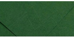 CANSON COLORLINE 220 G VERDE AMAZZONIA