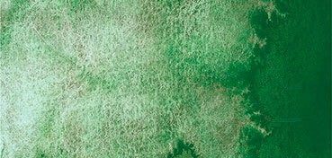 SCHMINCKE HORADAM SUPERGRANULATION COLOURS WATERCOLOR FOREST GREEN NO. 942