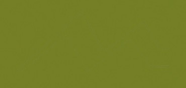 PENTEL COLOUR REFILLABLE BRUSH PEN NYLON TIP OLIVE GREEN INK (FR-115) - REFILL