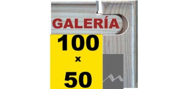 GALERIA 3D KEILRAHMEN (LEISTENBREITE 46 X 32) 100 X 50