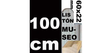 MUSEO LEISTE (60 X 22) 100 CM