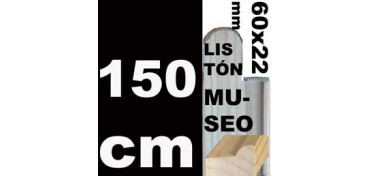 MUSEO LEISTE (60 X 22) 150 CM