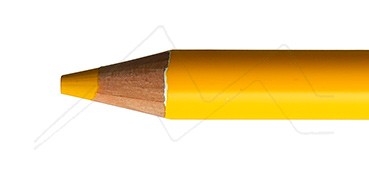 HOLBEIN COLOURED PENCIL SUNFLOWER NO. 143