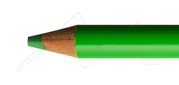 HOLBEIN COLOURED PENCIL EVERGREEN NO. 254