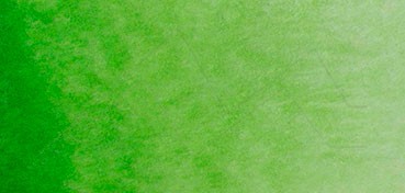ST PETERSBURG WHITE NIGHTS WATERCOLOUR WHOLE PAN SERIES A SAP GREEN NO. 716