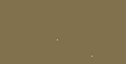 TURNER DESIGN GOUACHE RAW UMBER SERIE A NR. 28