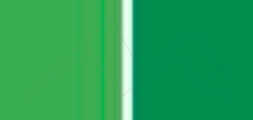 DALER ROWNEY AQUAFINE 2 HALF PANS HOOKER´S GREEN LIGHT / HOOKER´S GREEN DARK NO. 15