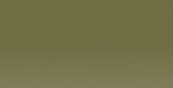 DERWENT XL INKTENSE BLOCK VERT FEUILLE Nº 11