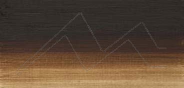 WINSOR & NEWTON ARTISTS OIL COLOUR RAW UMBER SERIES 1 NO. 554