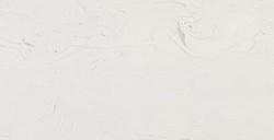 GAMBLIN ARTISTS COLORI AD OLIO TITANIUM-ZINC WHITE SERIE 1