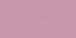TURNER ACRYL GOUACHE PASTEL SERIES ROSE SÉRIE A Nº 182