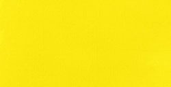 LIQUITEX BASICS COLORI ACRILICI FLUIDI PRIMARY YELLOW