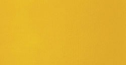 LIQUITEX BASICS FLUID ACRYLIC PAINT CADMIUM YELLOW DEEP HUE