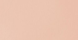 LIQUITEX BASICS FLUID ACRYLIC PAINT LIGHT PINK