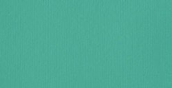LIQUITEX BASICS COLORI ACRILICI FLUIDI BRIGHT AQUA GREEN