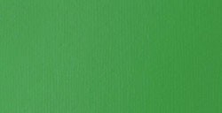 LIQUITEX BASICS COLORI ACRILICI FLUIDI LIGHT GREEN PERMANENT