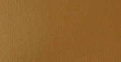 LIQUITEX BASICS FLUID PEINTURE ACRYLIQUE TERRE DE SIENNE NATURELLE