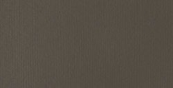 LIQUITEX BASICS FLUID ACRYLIC PAINT RAW UMBER