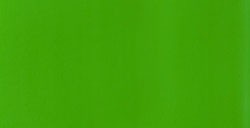 LIQUITEX BASICS COLORI ACRILICI FLUIDI FLUORESCENT GREEN