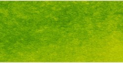 MICHAEL HARDING ARTISTS ACQUERELLO BRIGHT GREEN LAKE SERIE 1 N. W116