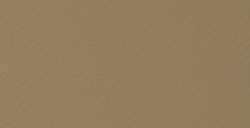 CANSON MI-TEINTES VELVET CARTA PASTELLO 430 G - BEIGE DORATO