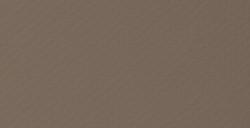 CANSON MI-TEINTES VELVET CARTA PASTELLO 430 G - MARRONE GRIGIO