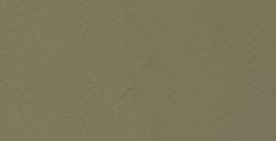 CANSON MI-TEINTES VELVET CARTA PASTELLO 430 G - VERDE PISTACCHIO