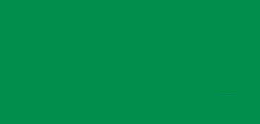 ROHRER & KLINGNER INCHIOSTRO PIGMENTATO PER DISEGNO VERDE VESCICA N. 751