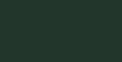 LEFRANC BOURGEOIS ÓLEO FINO SAP GREEN Nº 568