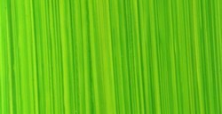 MICHAEL HARDING ARTISTS COLORI AD OLIO BRIGHT GREEN LAKE SERIE 1 N. 116