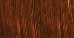 MICHAEL HARDING ARTISTS COLORI AD OLIO RAW SIENNA SERIE 1 N. 120