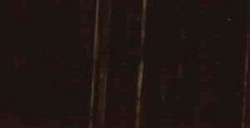 MICHAEL HARDING ARTISTS ÖLFARBEN VANDYKE BROWN SERIE 1 NR. 134