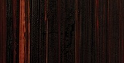 MICHAEL HARDING ARTISTS COLORI AD OLIO TRANSPARENT OXIDE BROWN SERIE 2 N. 224