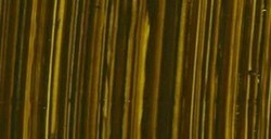 MICHAEL HARDING ARTISTS COLORI AD OLIO GREEN GOLD SERIE 4 N. 410