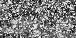 PÉBÉO SETACOLOR COLORI ACRILICI PER PELLE GLITTER SILVER