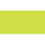 TALENS GOUACHE GREENISH YELLOW N. 243