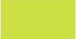 TALENS GOUACHE AMARILLO VERDOSO - Nº 243