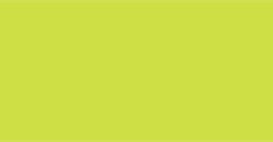 TALENS GOUACHE AMARILLO VERDOSO - Nº 243