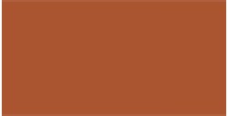 TALENS GOUACHE LIGHT BROWN N. 401