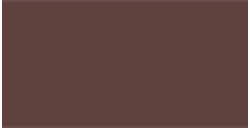 TALENS GOUACHE BURNT UMBER N. 409