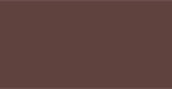 TALENS GOUACHE BURNT UMBER N. 409