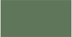 TALENS GOUACHE OLIVE GREEN N. 620