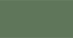 TALENS GOUACHE VERDE OLIVA - Nº 620