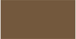 TALENS GOUACHE TIERRA SOMBRA NATURAL - Nº 408