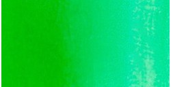 TALENS ECOLINE ACQUERELLO LIQUIDO FOREST GREEN N. 656