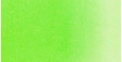 TALENS ECOLINE ACUARELA LÍQUIDA VERDE CLARO Nº 601
