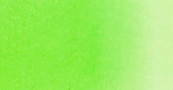 TALENS ECOLINE ACUARELA LÍQUIDA VERDE CLARO Nº 601