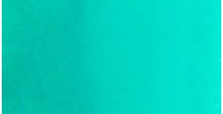 TALENS ECOLINE ACQUERELLO LIQUIDO DEEP GREEN N. 602